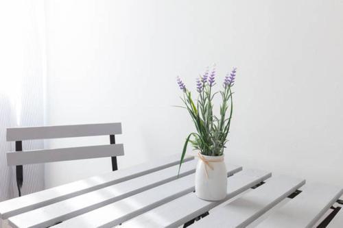 Domus Merulana Bed And Breakfast Rome Exterior photo